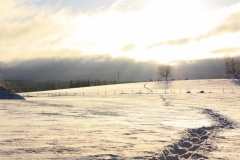 harjakt_2010_12_12_20101212_1100147577